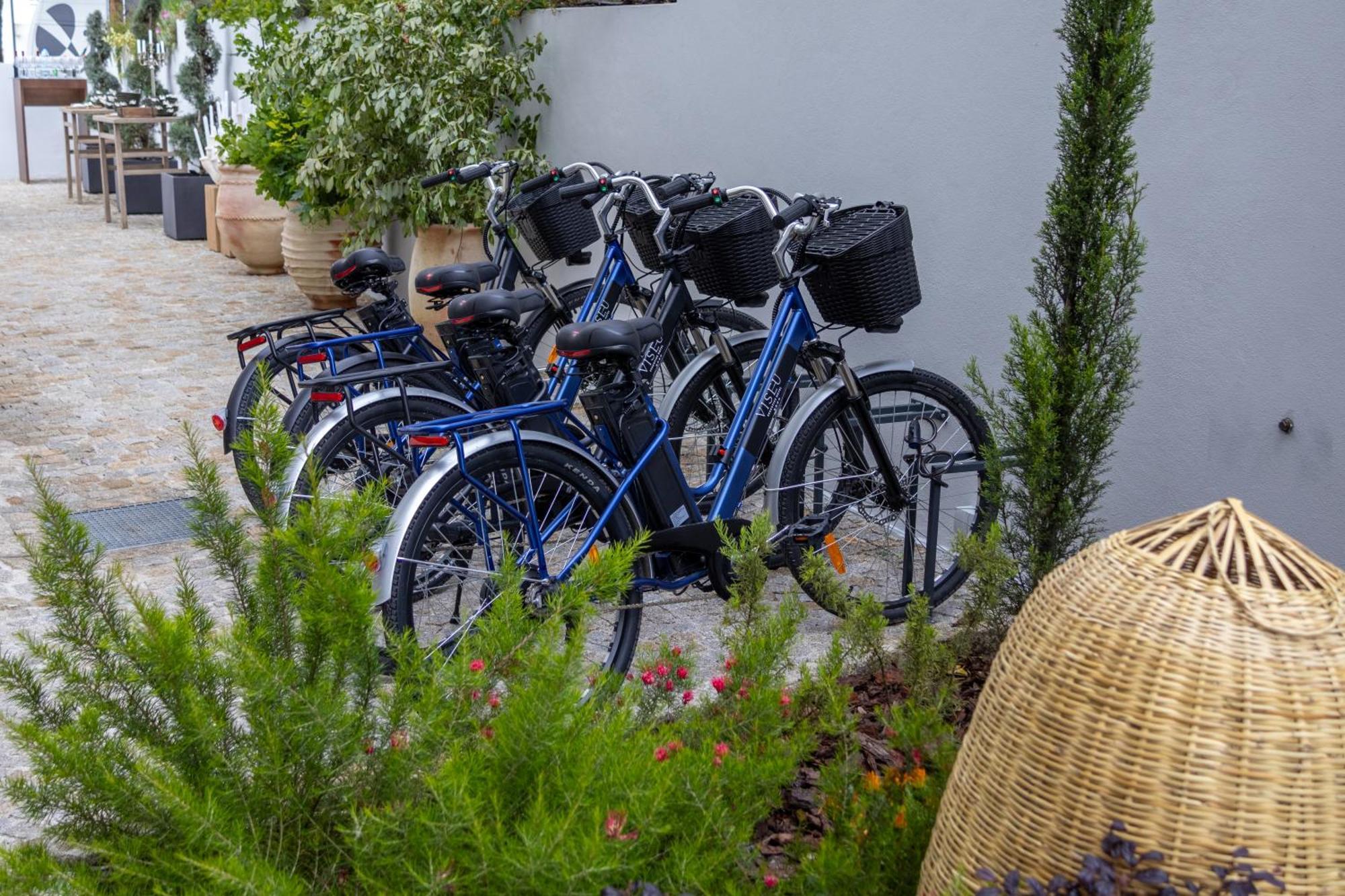Viseu Executive Hotel エクステリア 写真