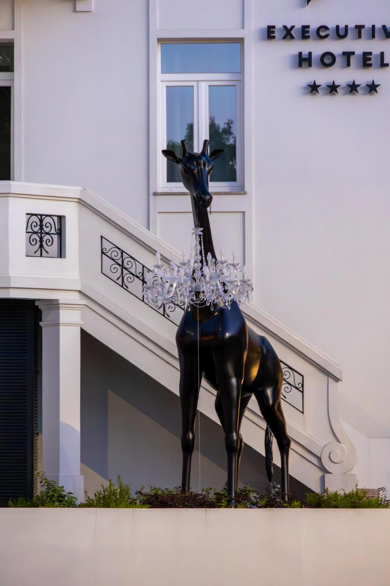 Viseu Executive Hotel エクステリア 写真